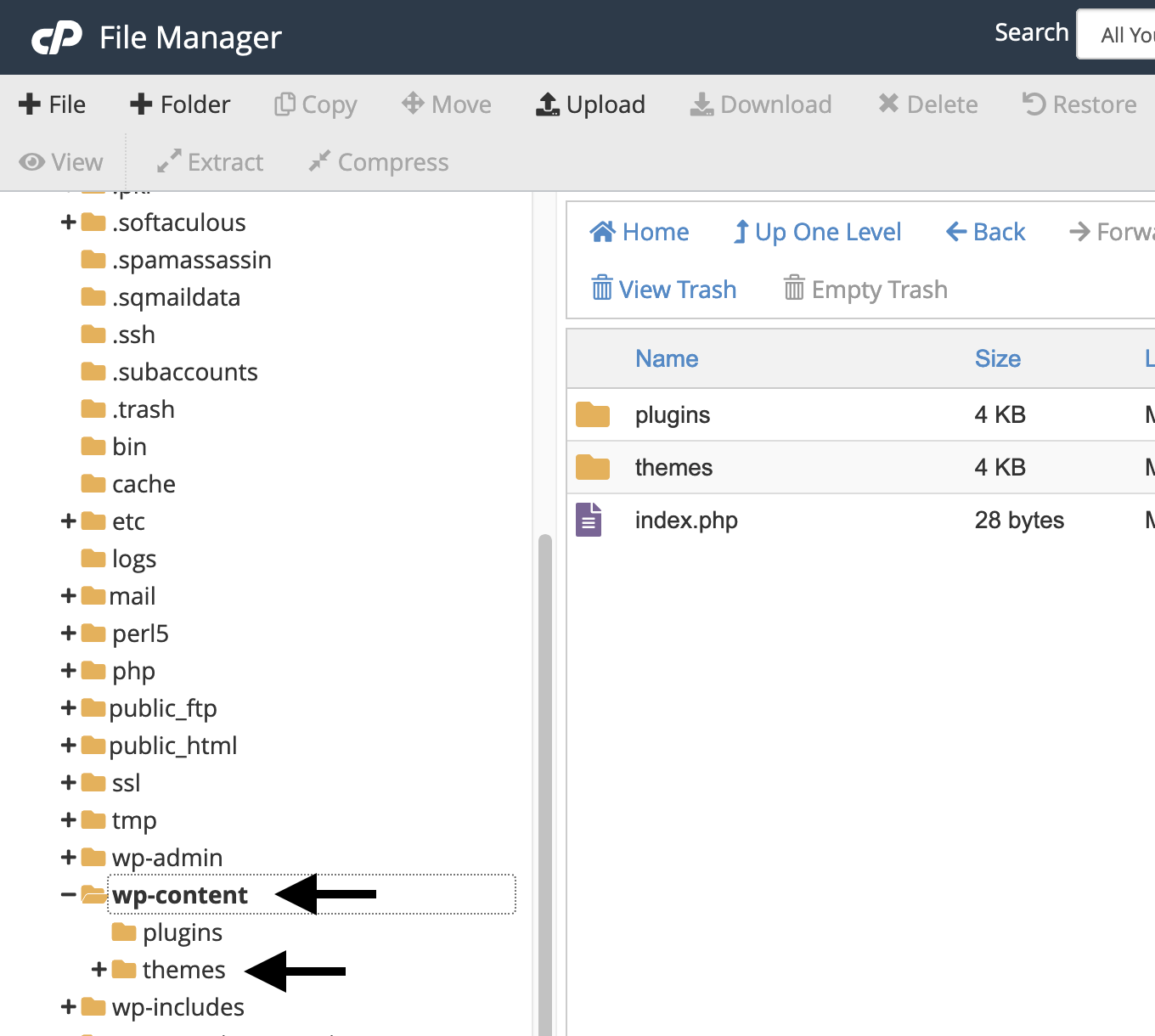بوت استرپ در cpanel