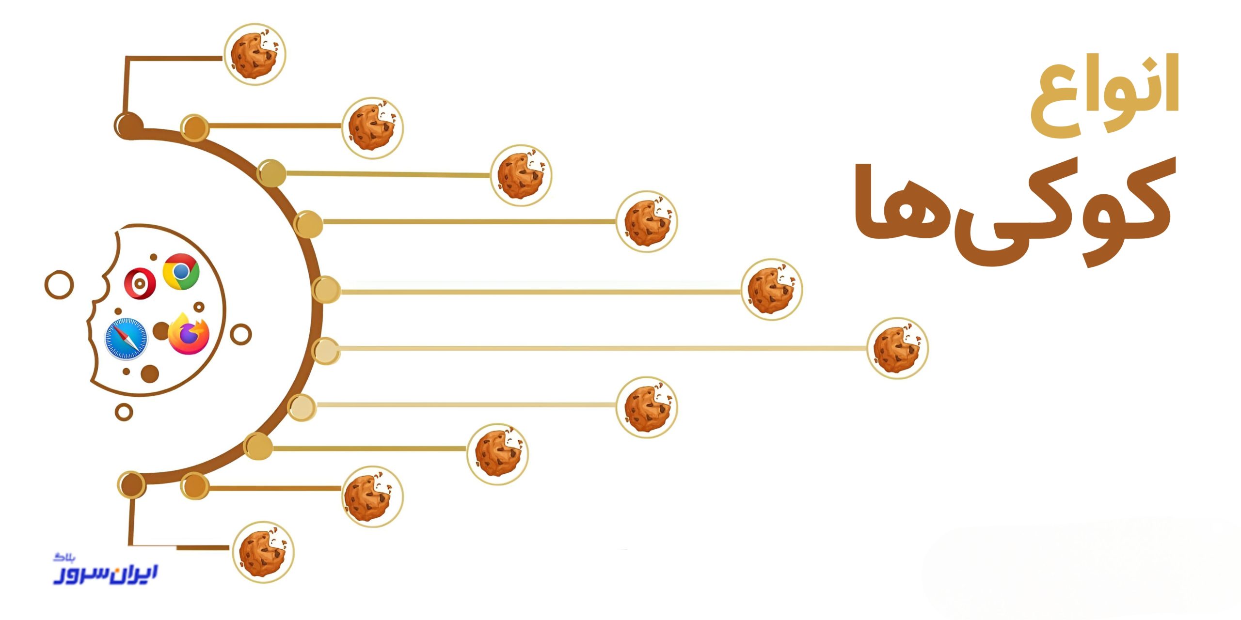 انواع کوکی کدام است