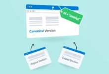 چرا استفاده از تگ Canonical اهمیت دارد؟