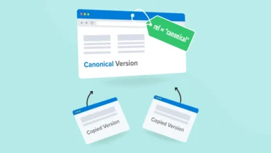چرا استفاده از تگ Canonical اهمیت دارد؟